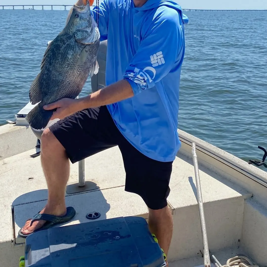 most liked catch image