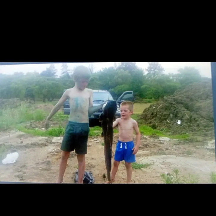 The most recent North African catfish catches on Fishbrain