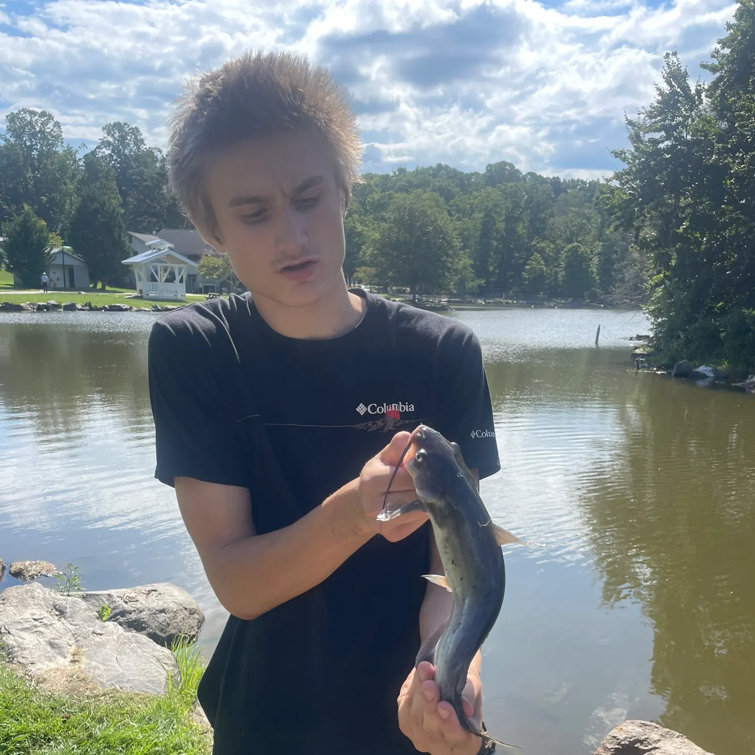 Channel catfish caught on Fishbrain