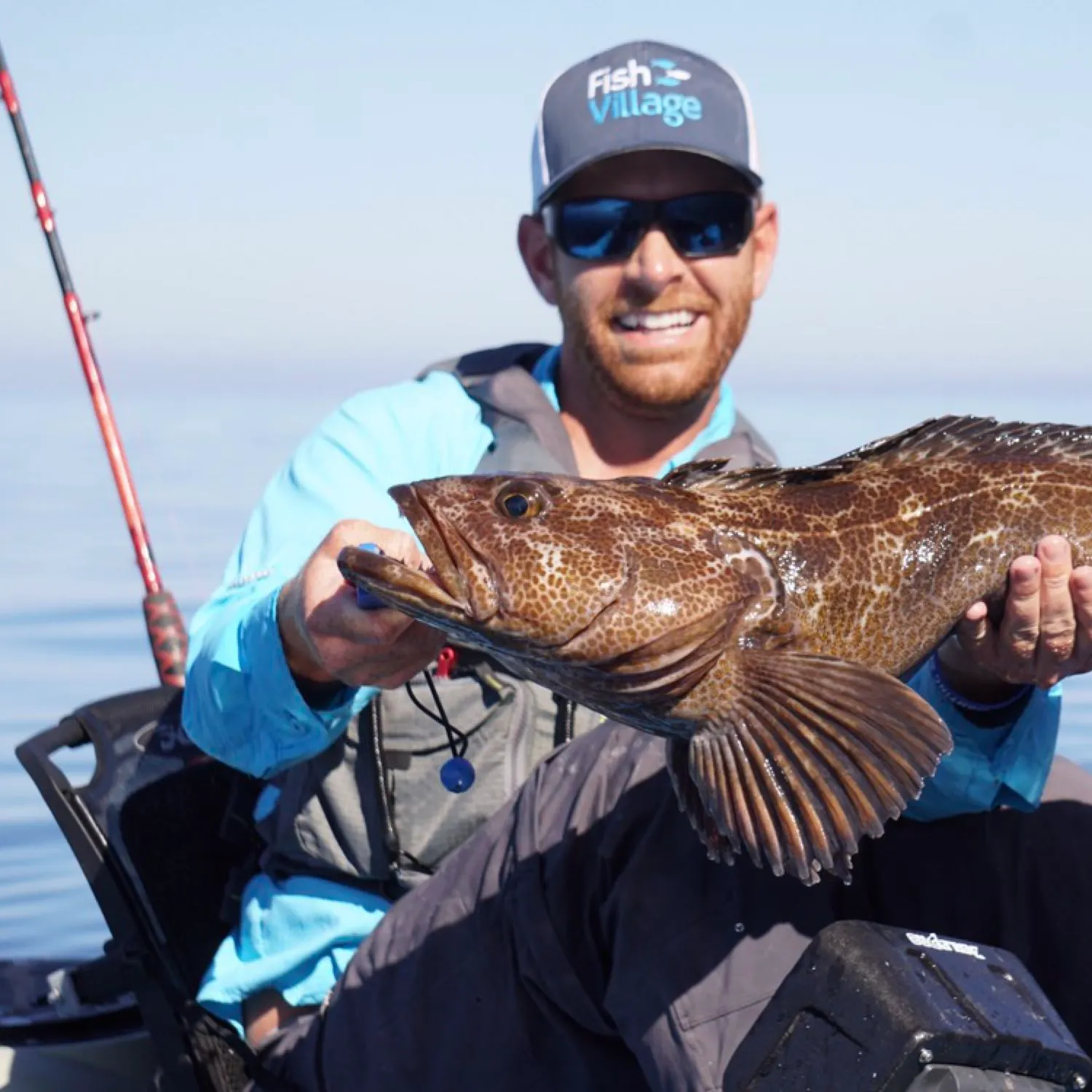 The most popular recent Lingcod catch on Fishbrain