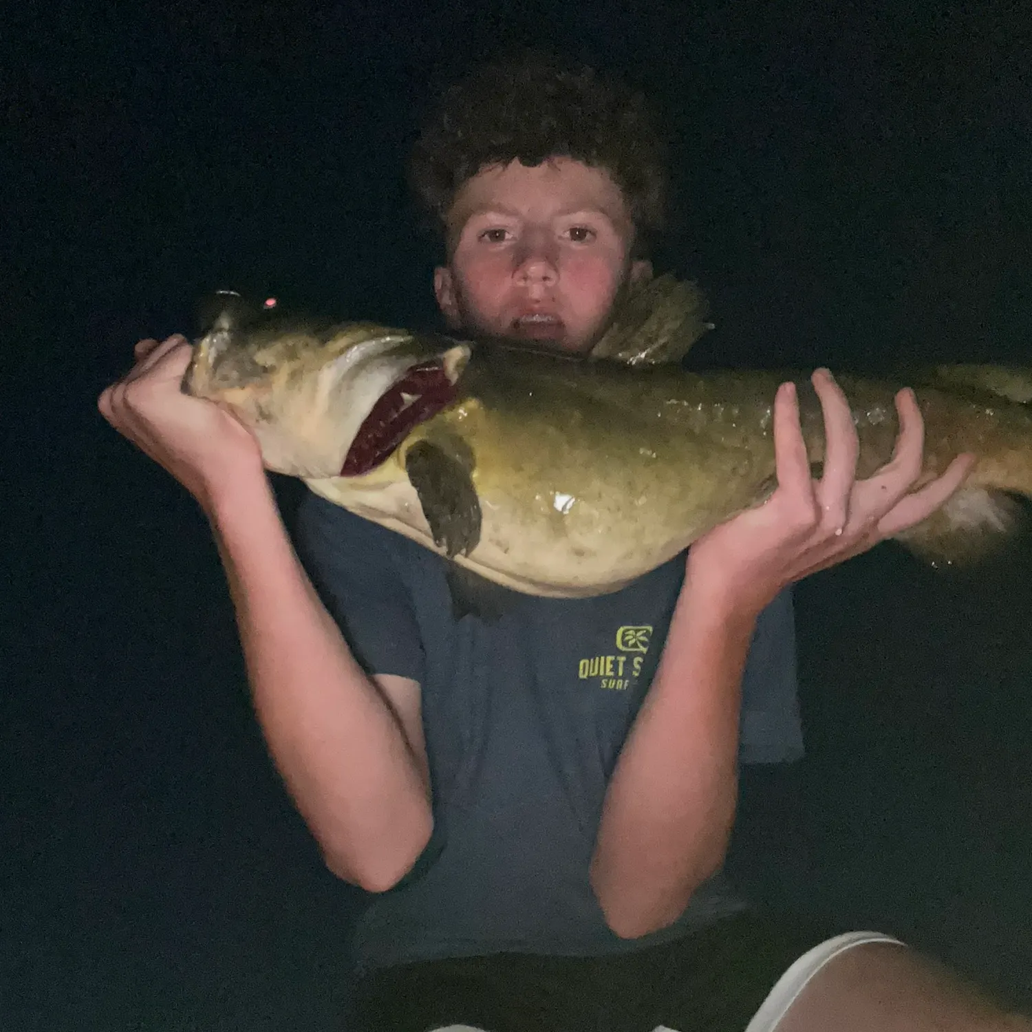 The most recent Flathead catfish catches on Fishbrain