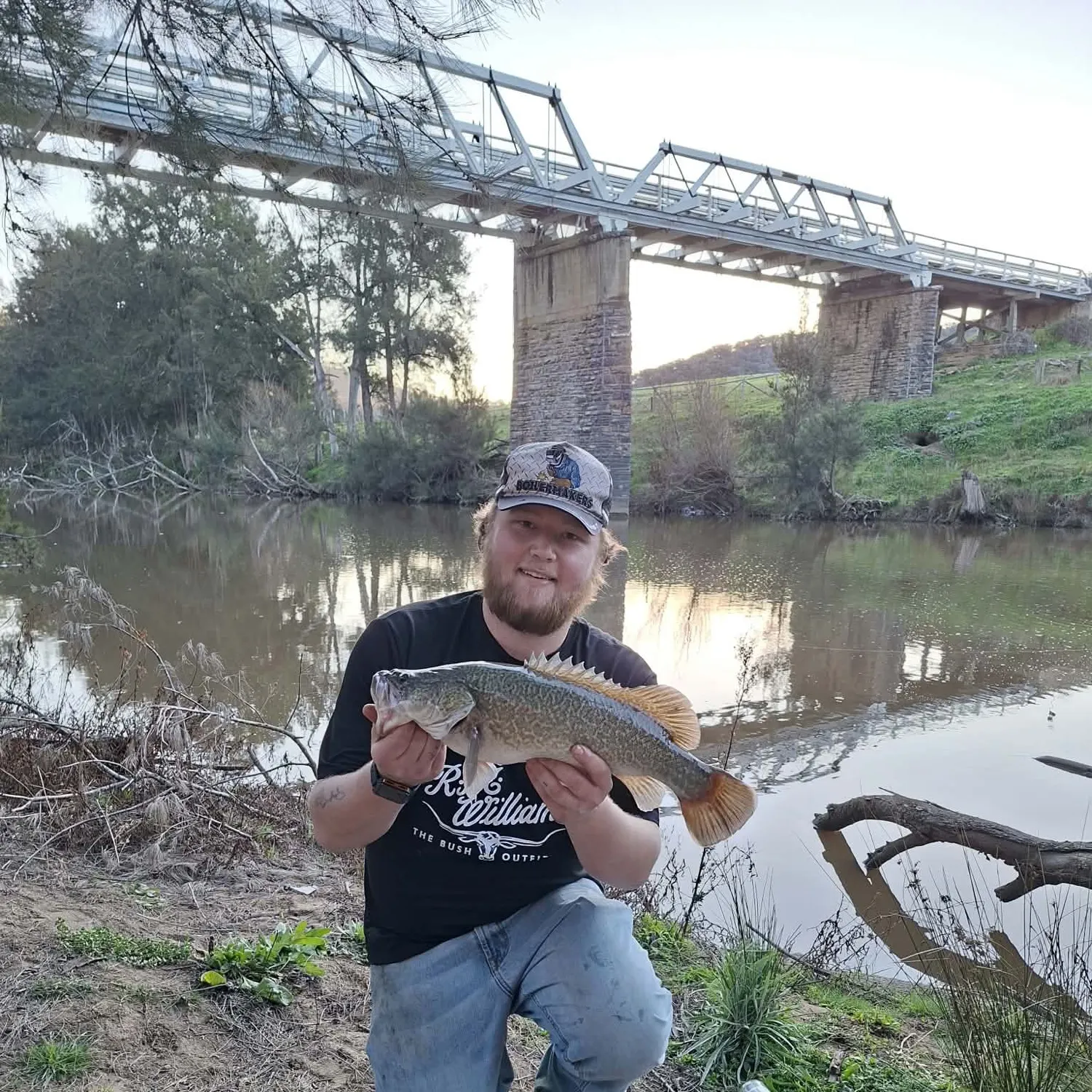 The most recent Murray cod catches on Fishbrain