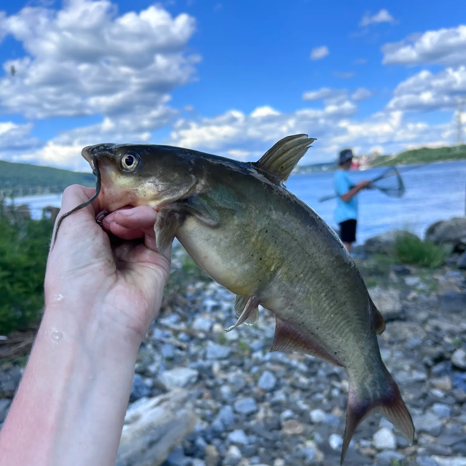 catch