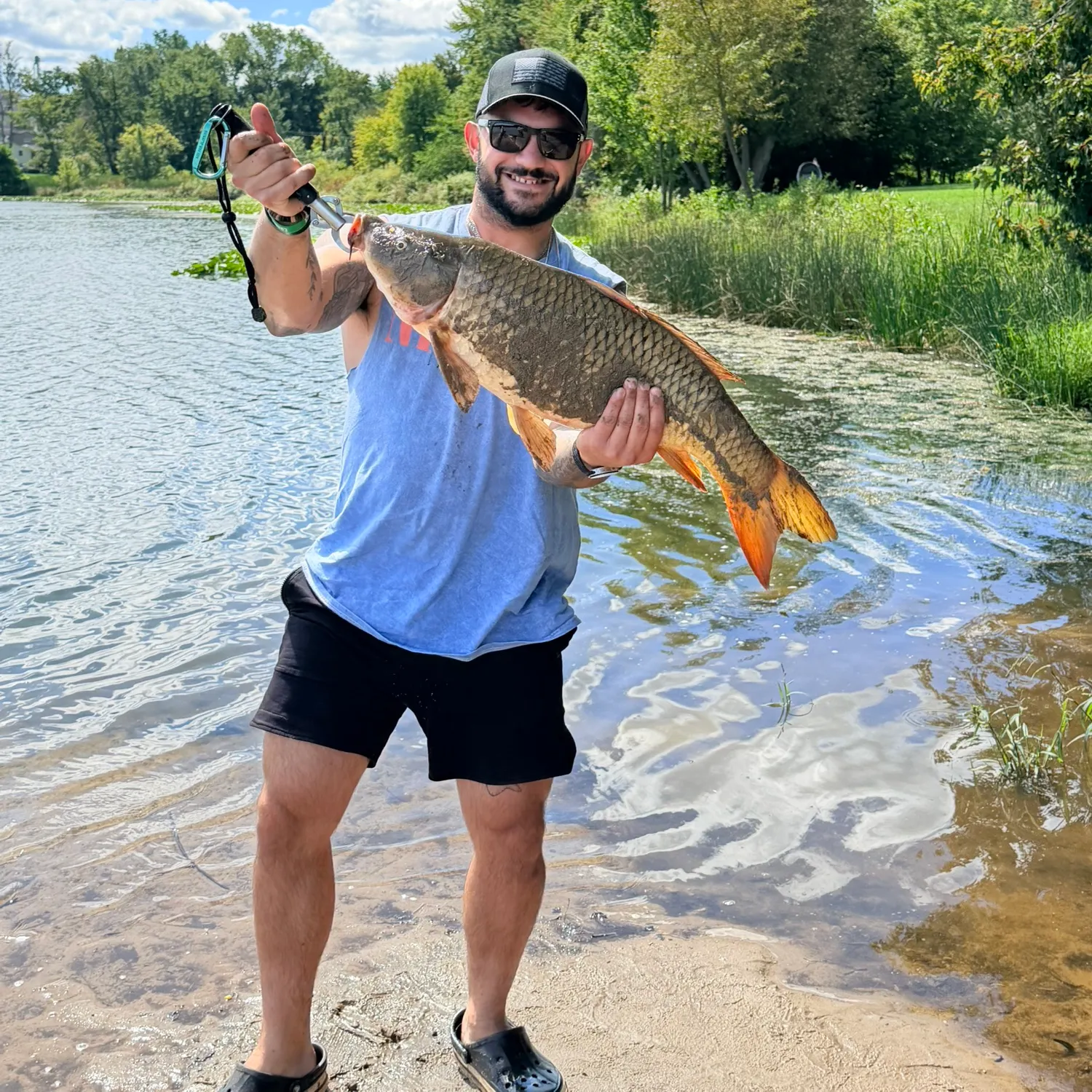 Common carp caught on Fishbrain
