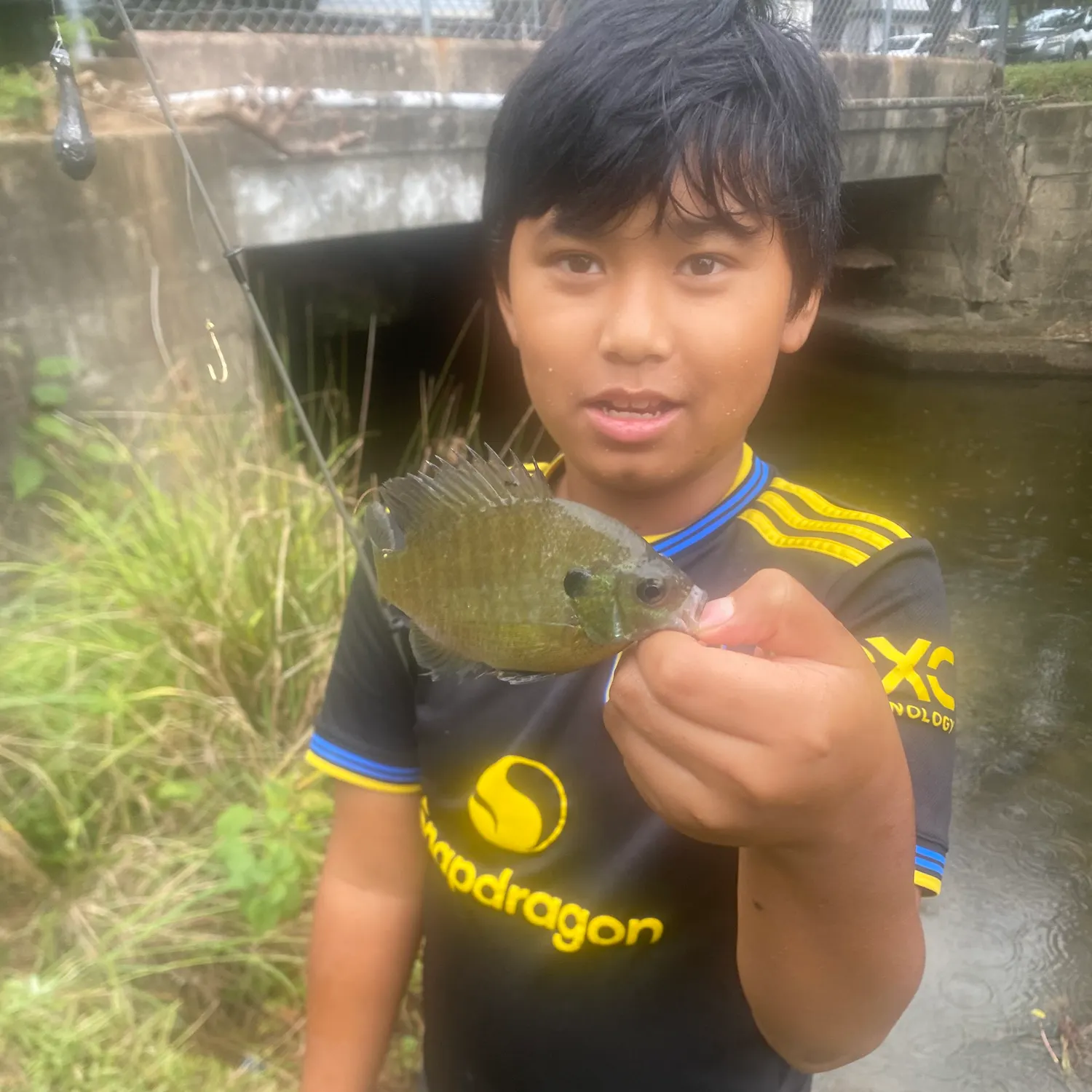 Channel catfish caught on Fishbrain