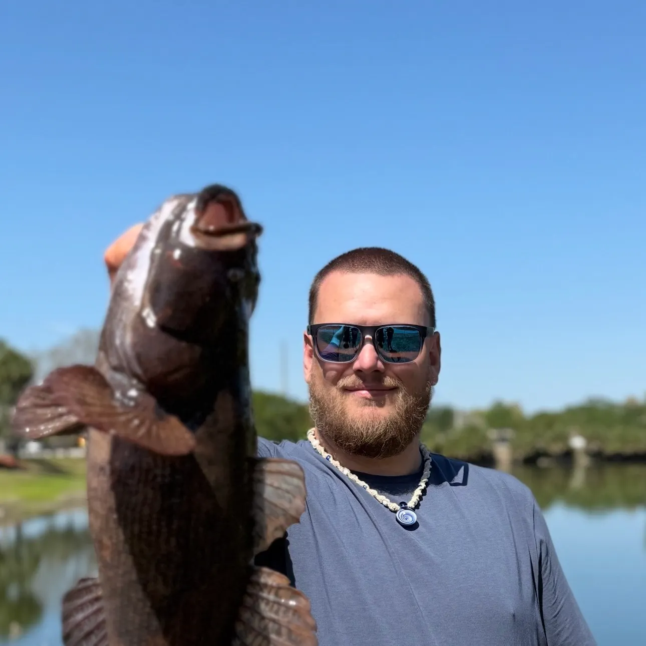 most liked catch image