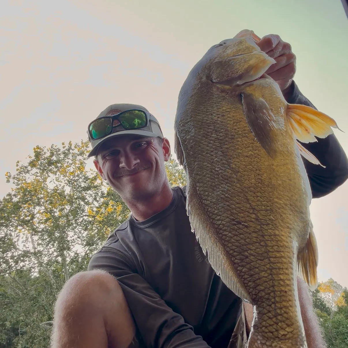 Freshwater drum caught on Fishbrain