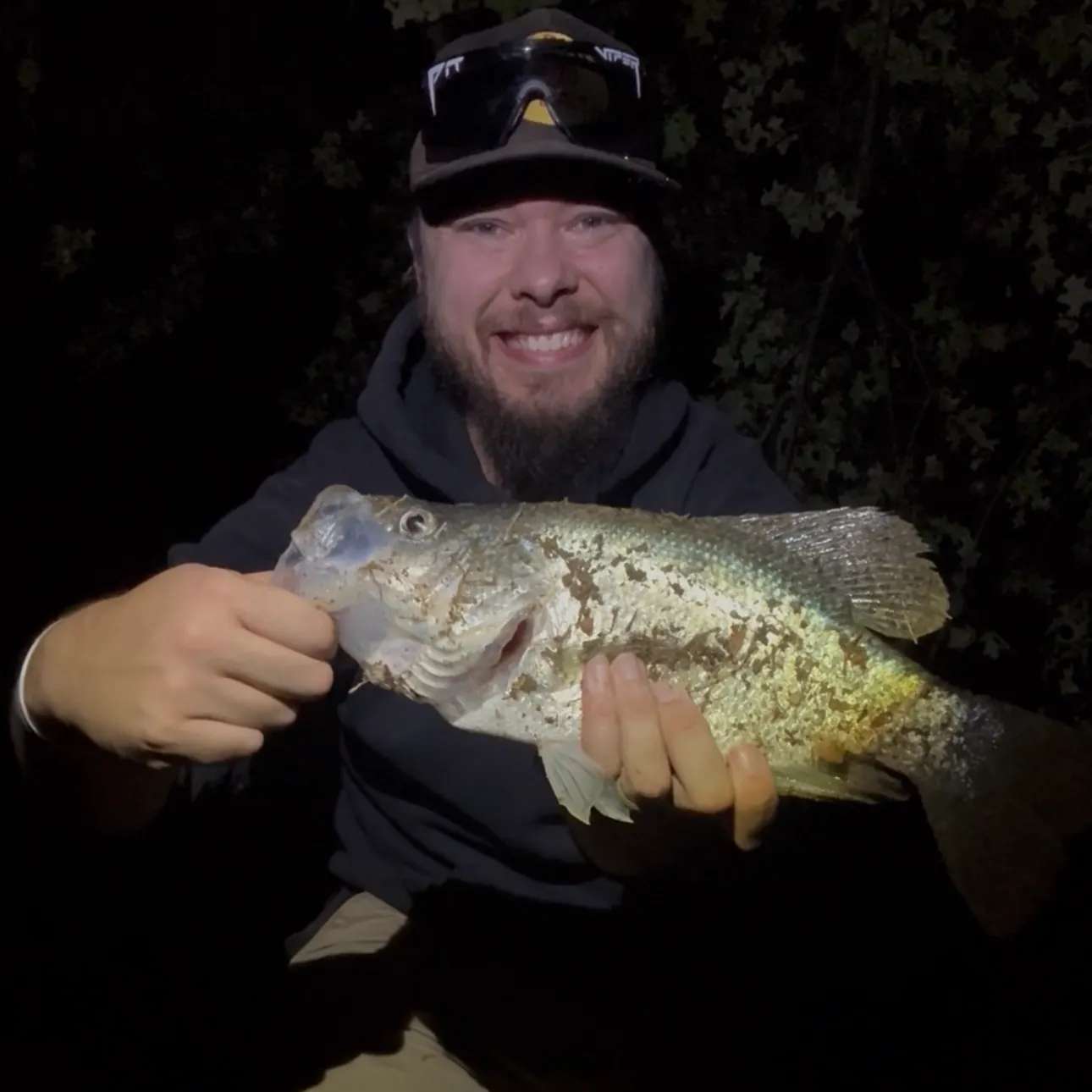 White crappie caught on Fishbrain