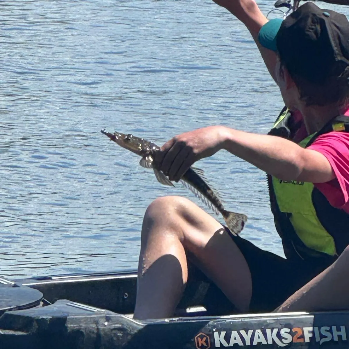 Dusky flathead caught on Fishbrain