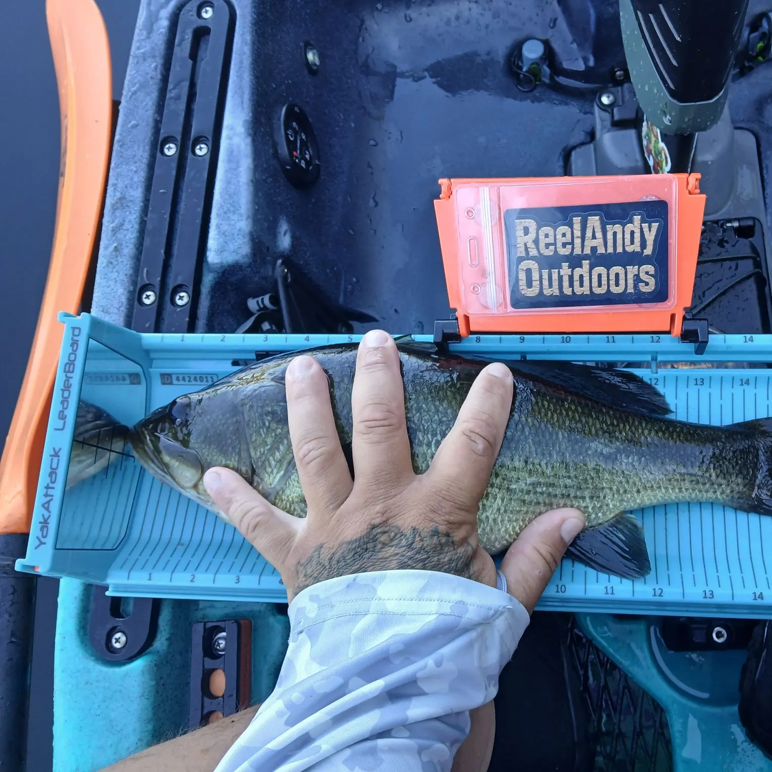 Largemouth bass caught on Fishbrain