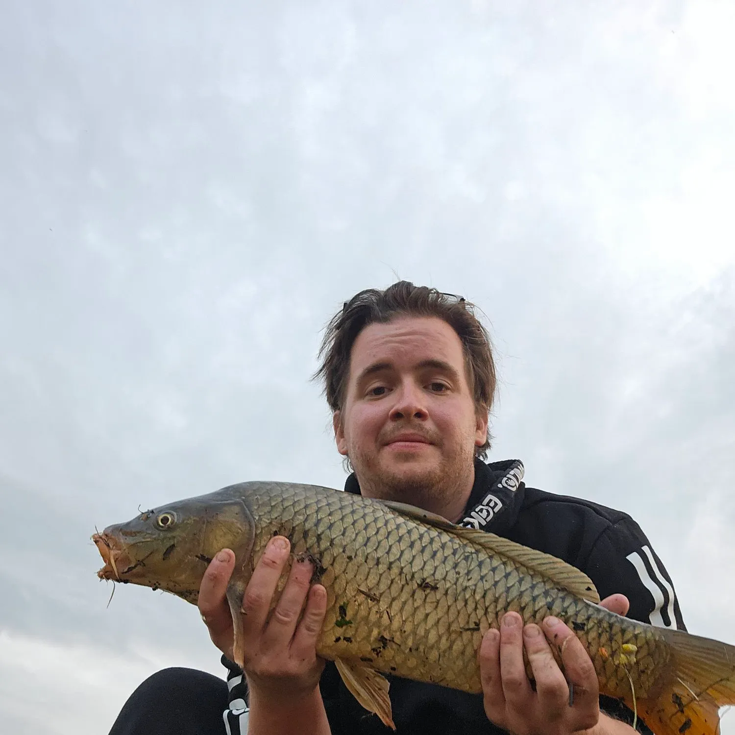 Common carp caught on Fishbrain
