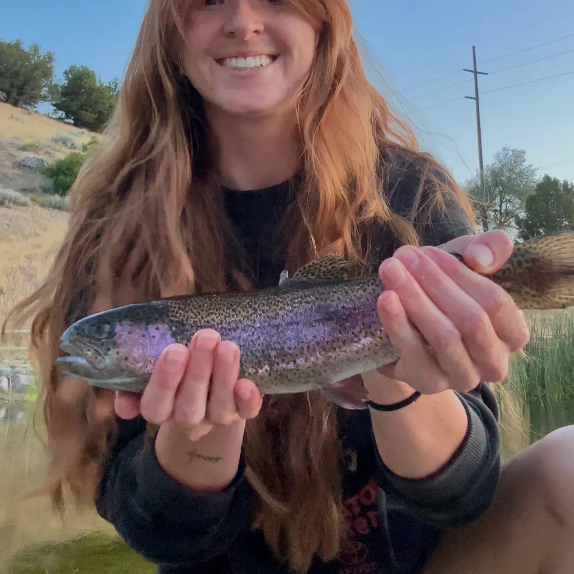 Cutbow caught on Fishbrain