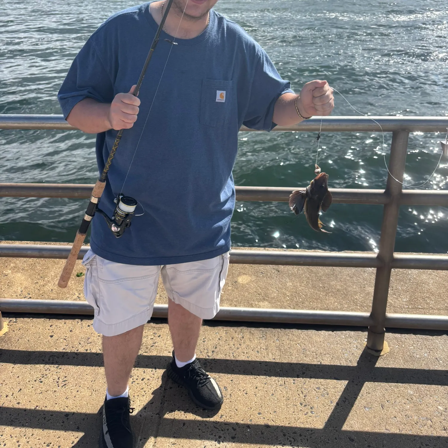 The most recent Striped searobin catches on Fishbrain