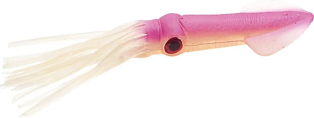 Squids