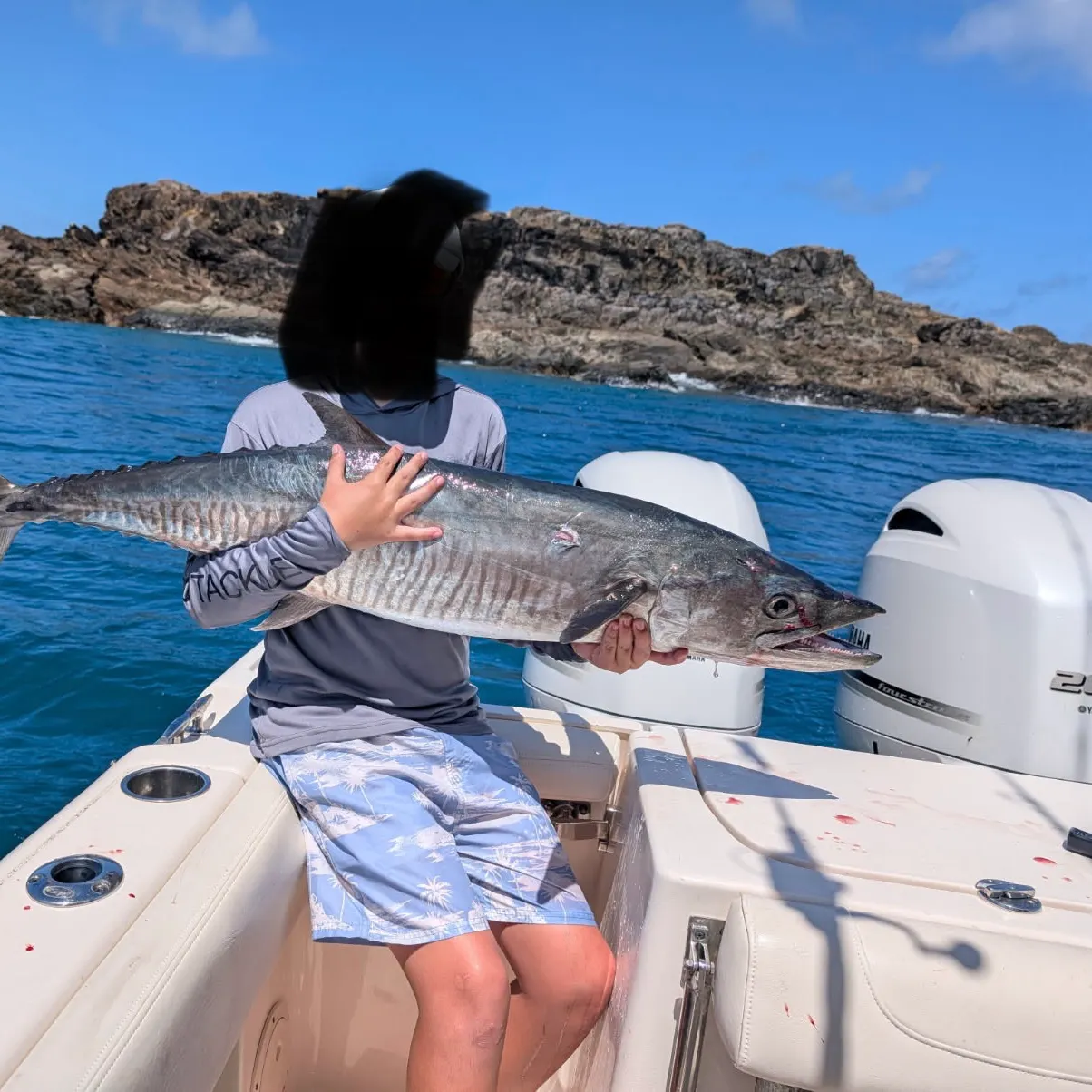 The most recent Narrow-barred Spanish mackerel catches on Fishbrain