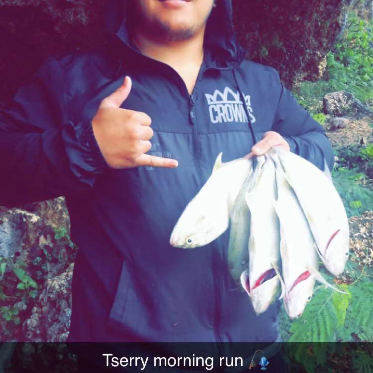 recently logged catches