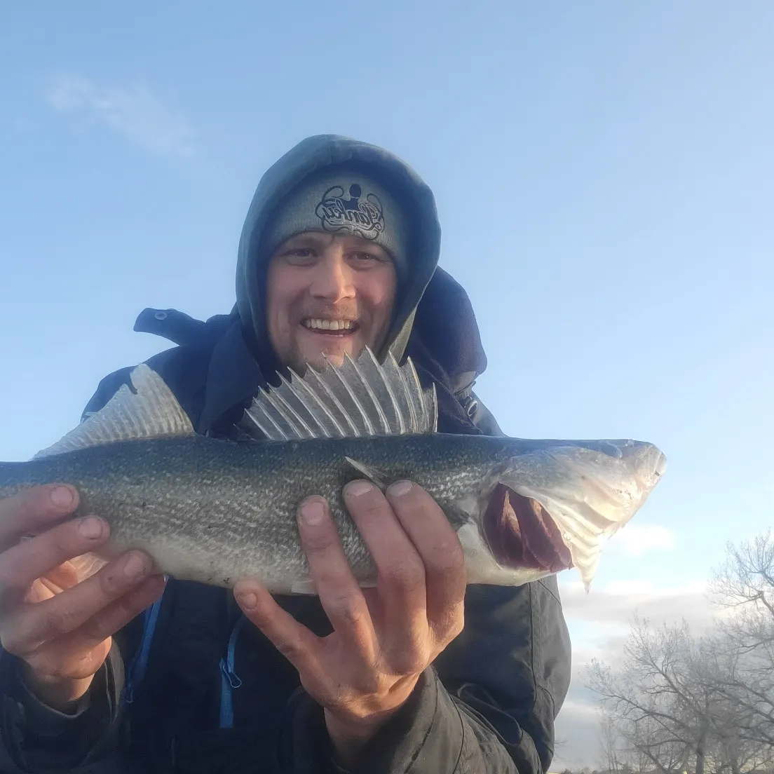 angler catch