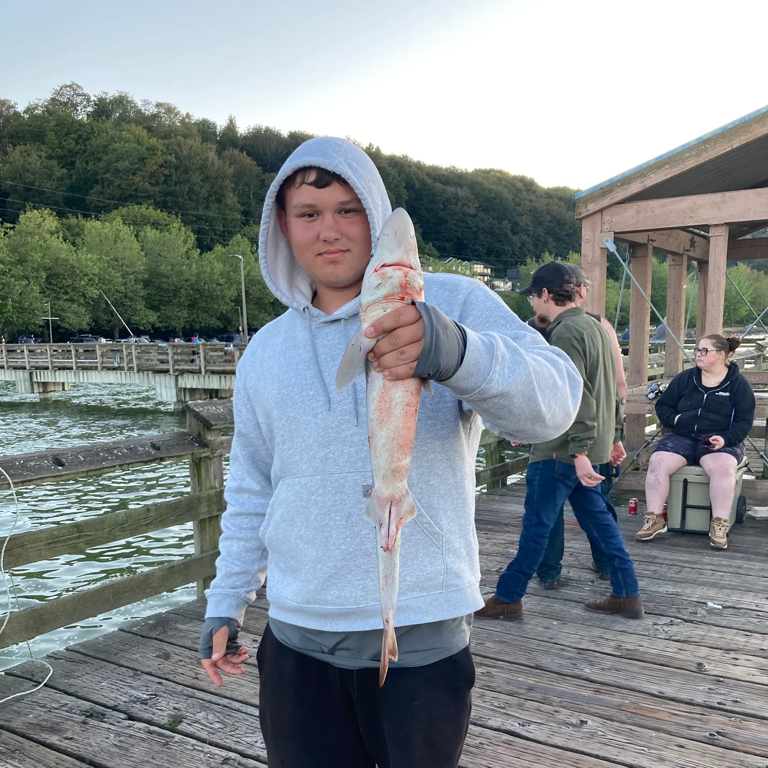 The most recent Pacific spiny dogfish catches on Fishbrain
