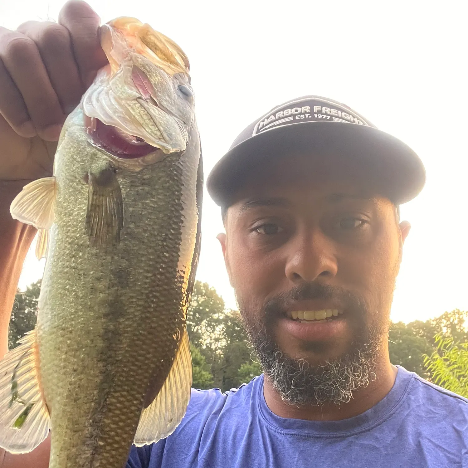 Largemouth bass caught on Fishbrain