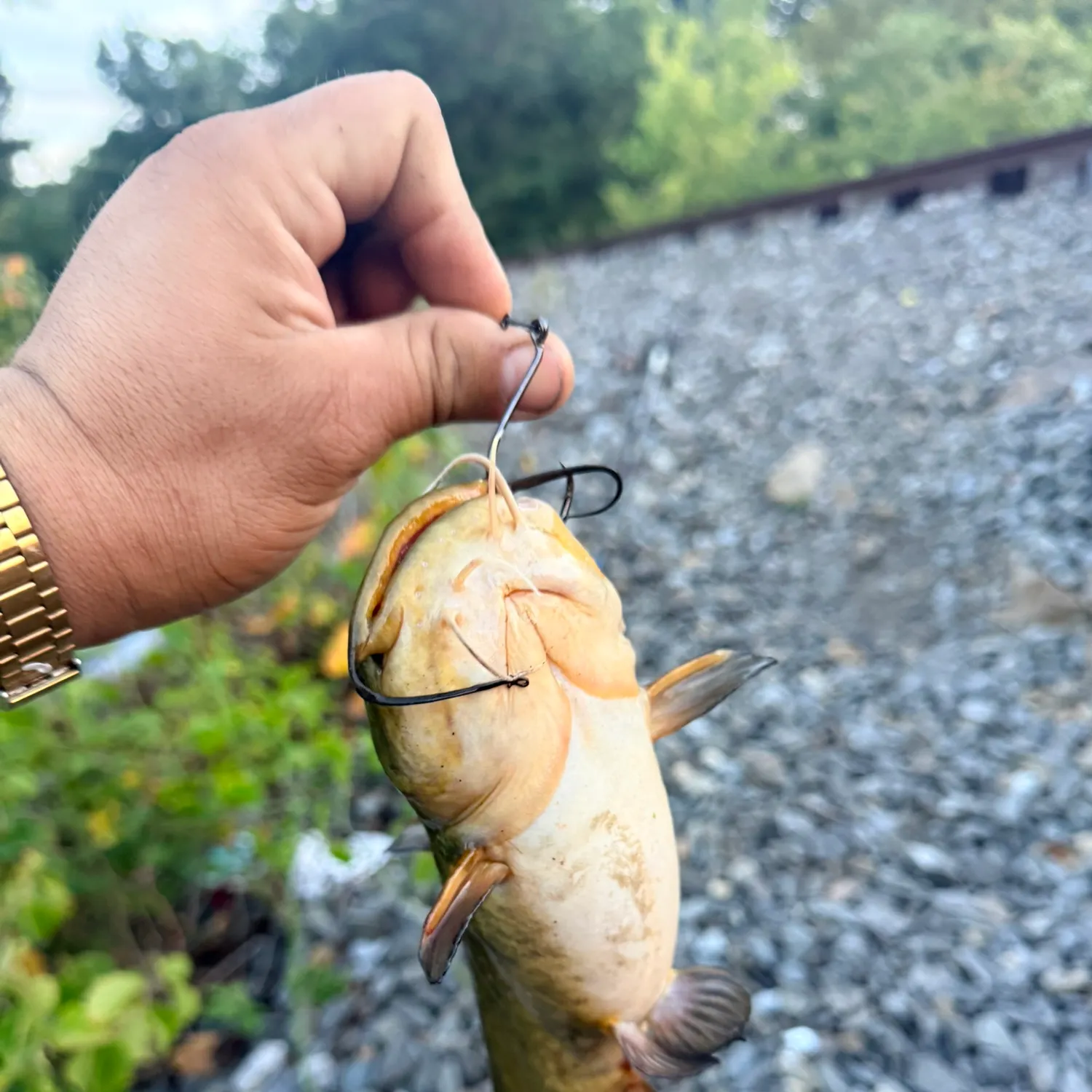 catch