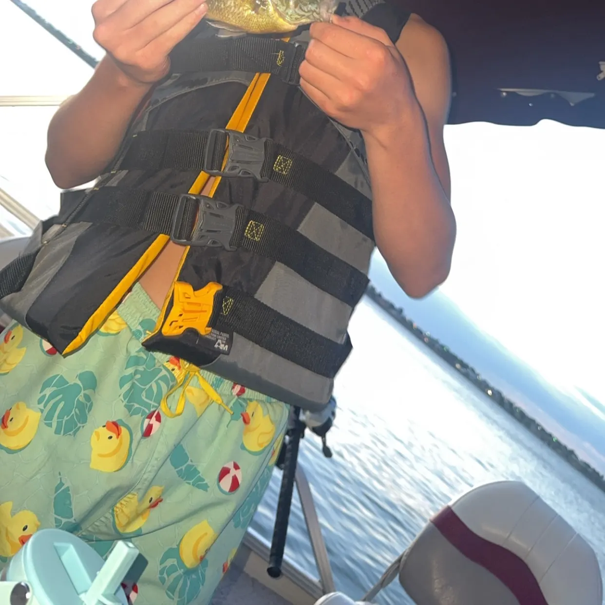 The most recent Bluegill catches on Fishbrain