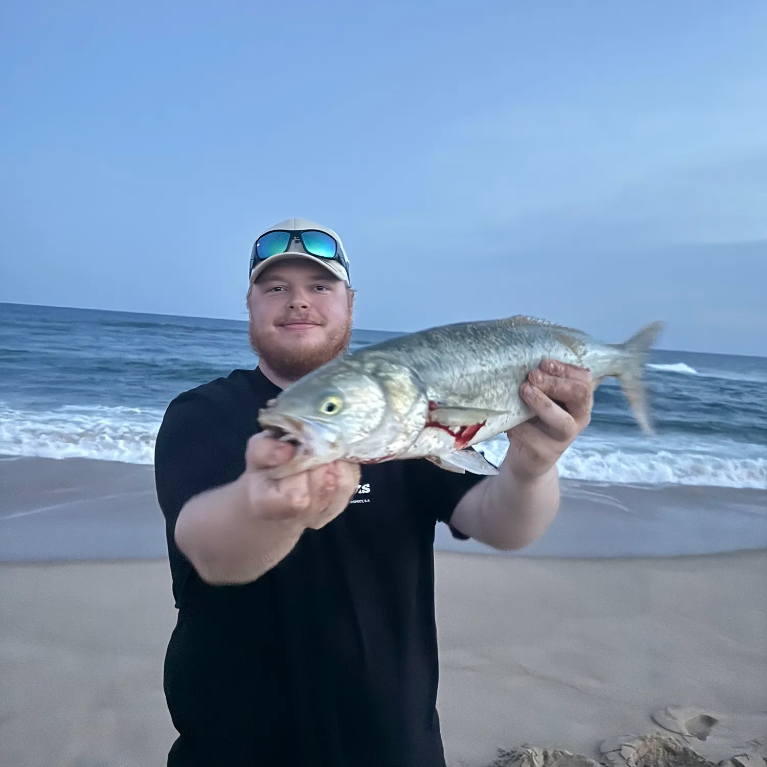 Eastern Australian salmon caught on Fishbrain