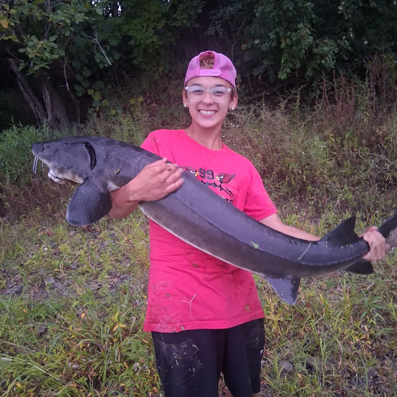 Lake sturgeon caught on Fishbrain