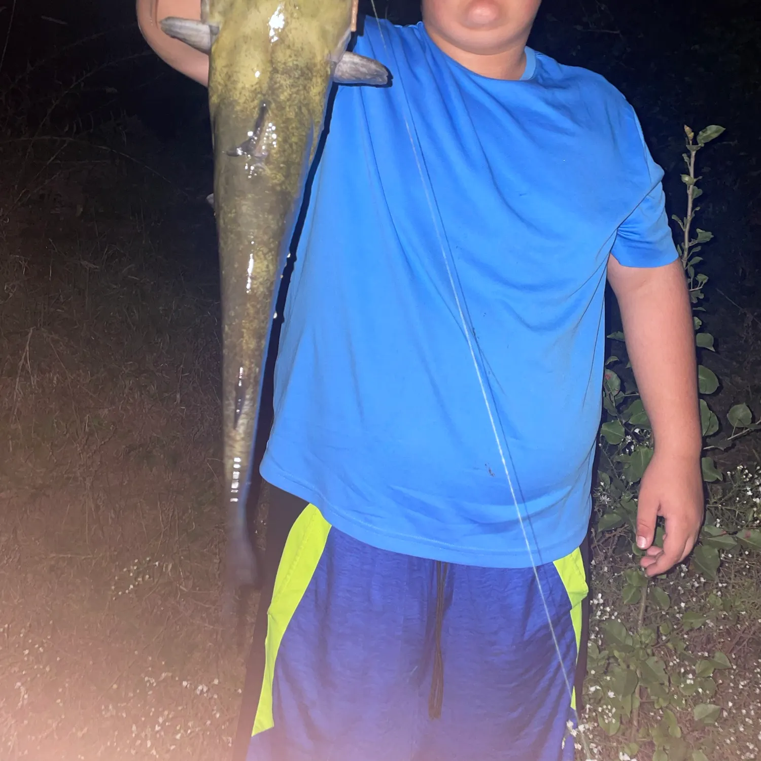 Flathead catfish caught on Fishbrain