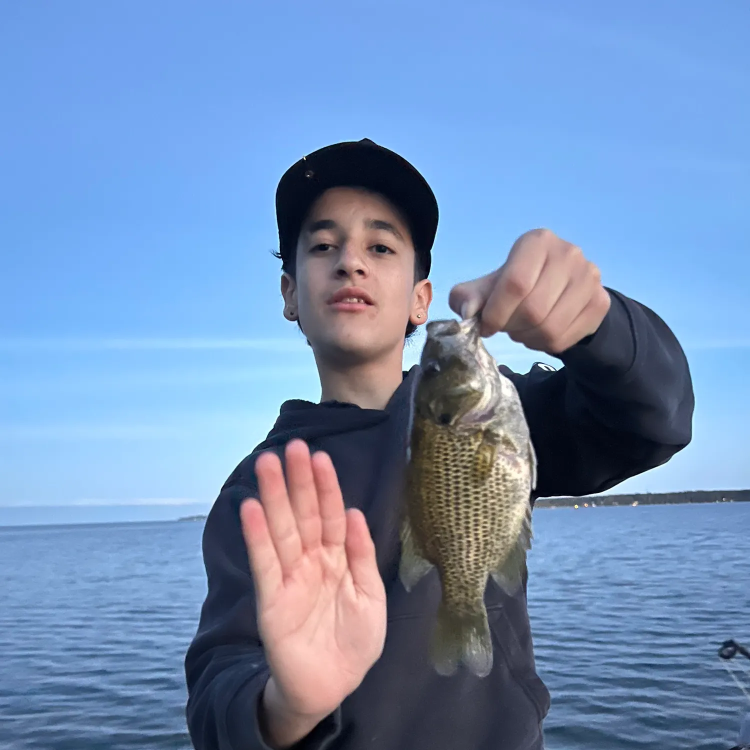 Rock bass caught on Fishbrain