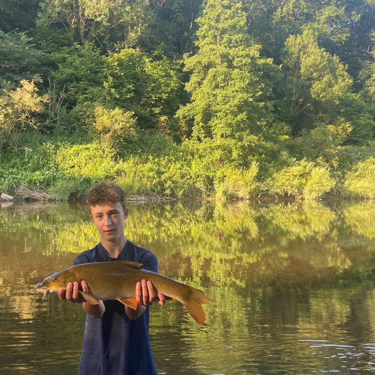 The most recent Common barbel catches on Fishbrain