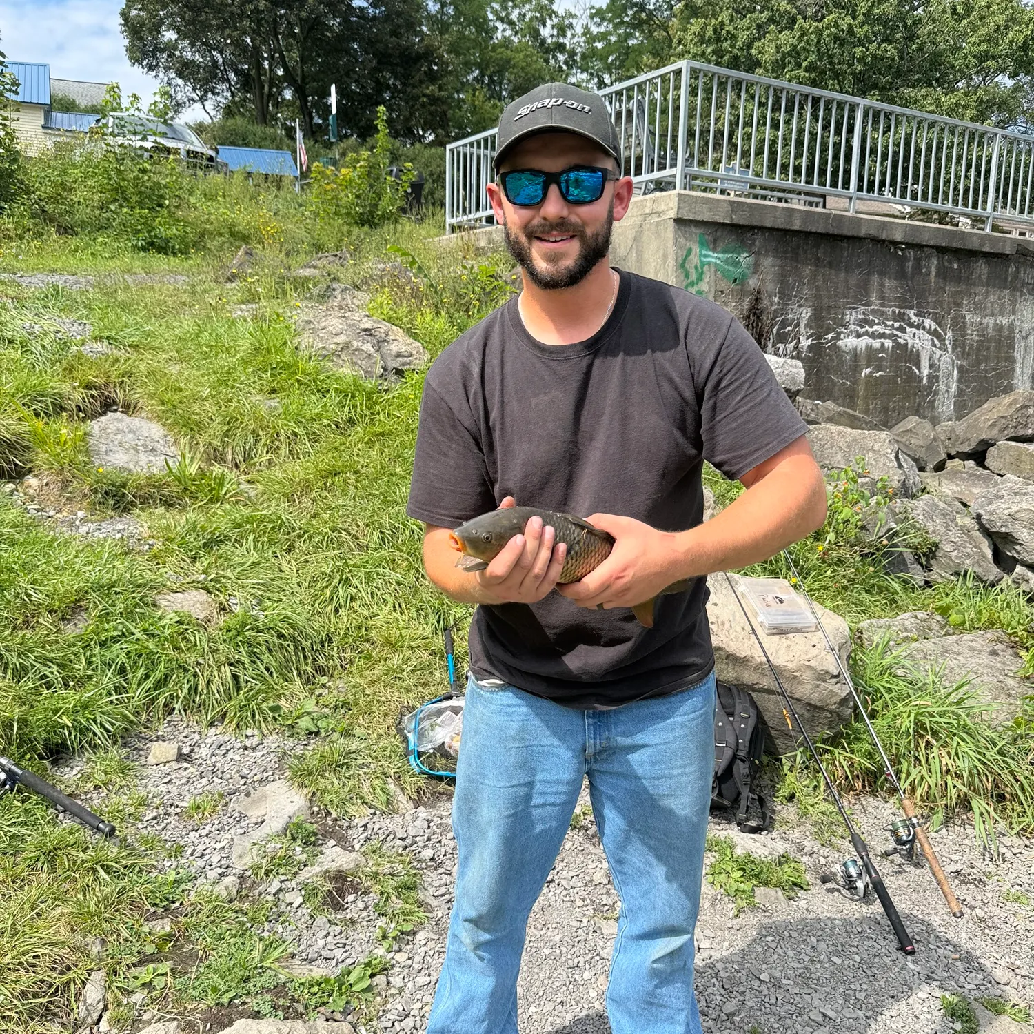 Common carp caught on Fishbrain