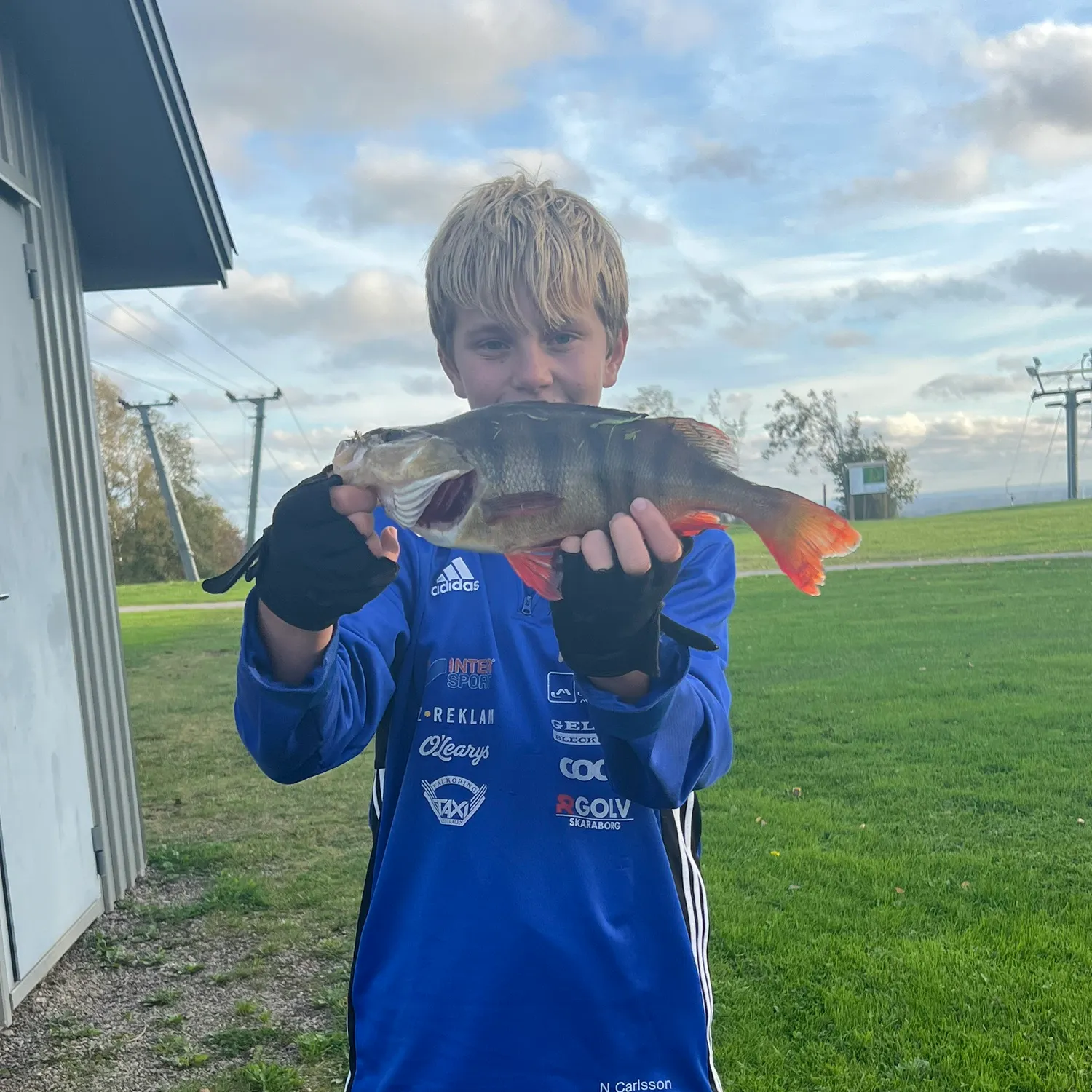 European perch caught on Fishbrain