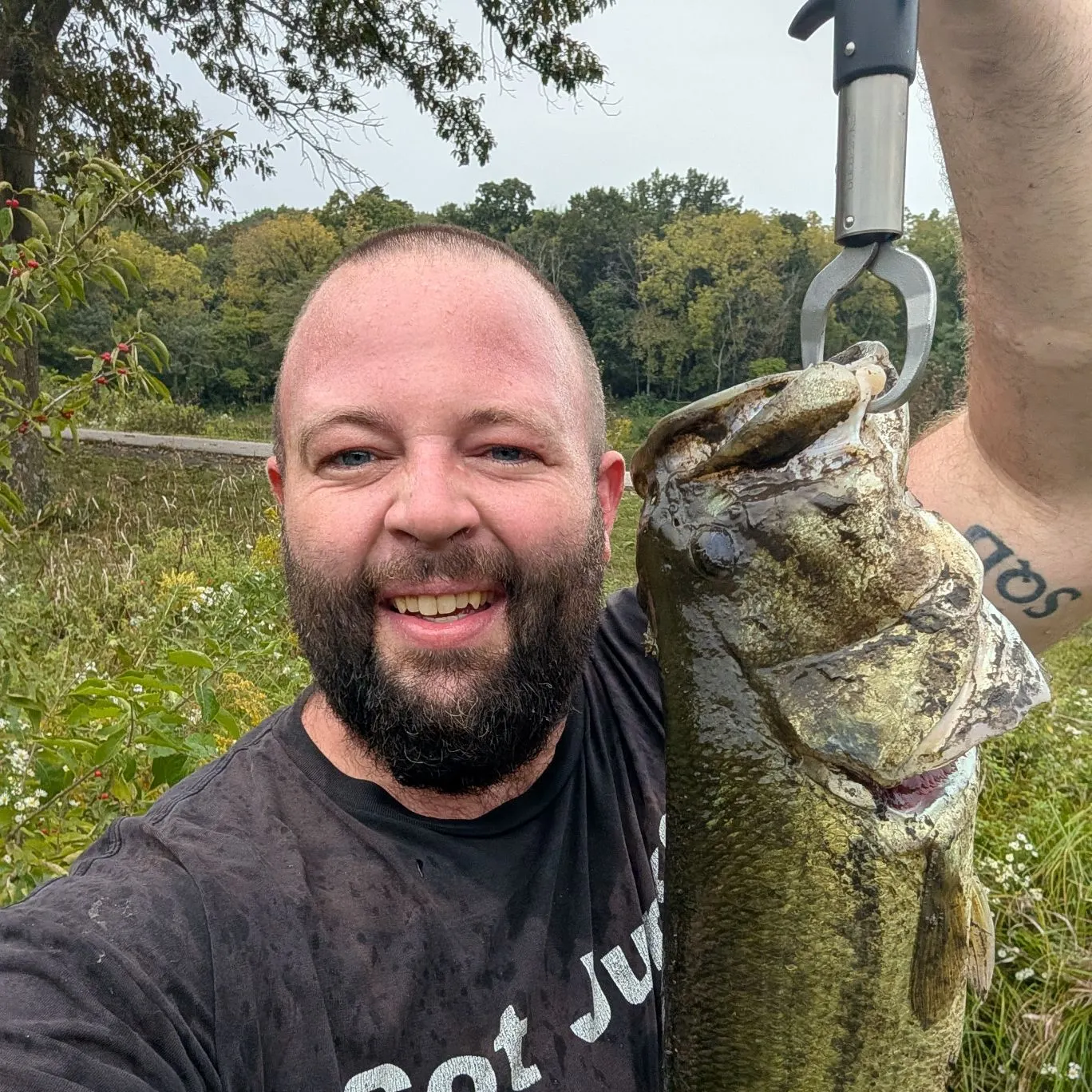 Largemouth bass caught on Fishbrain