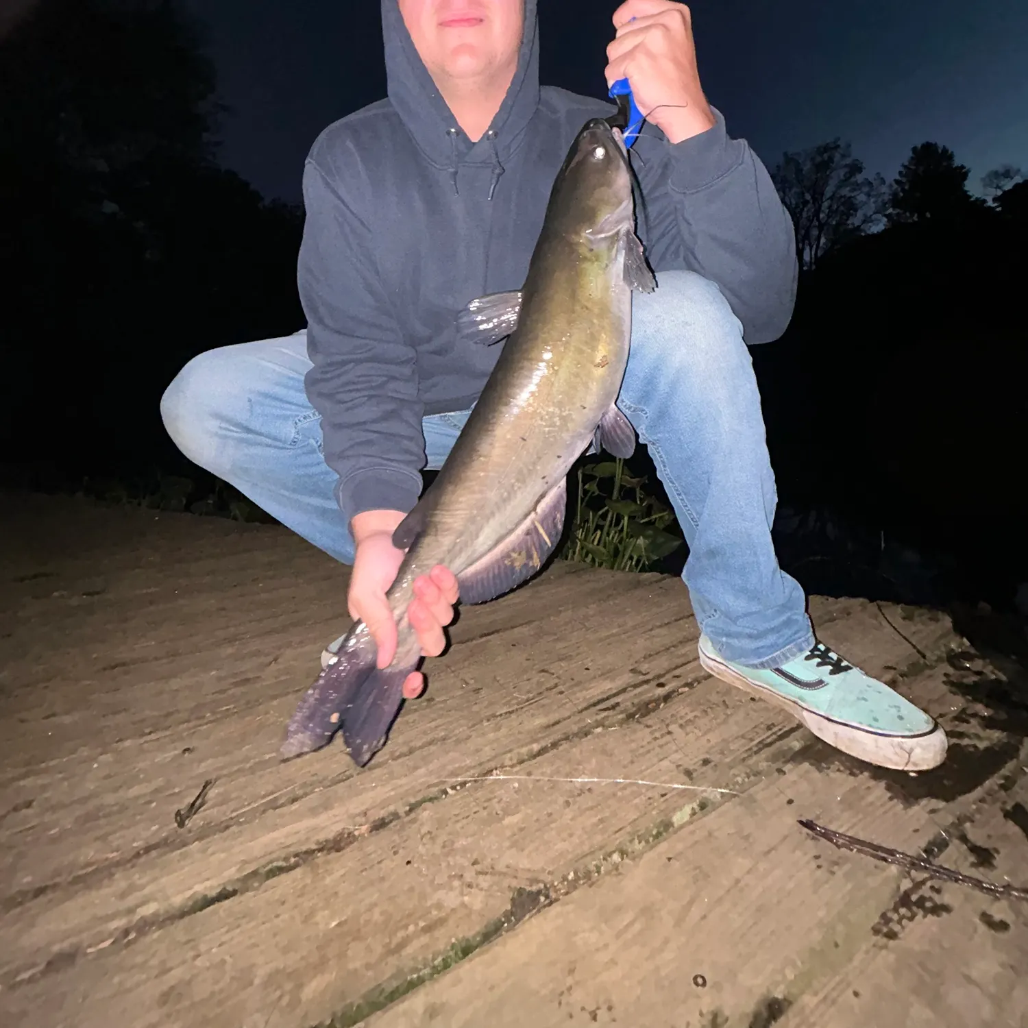 Channel catfish caught on Fishbrain