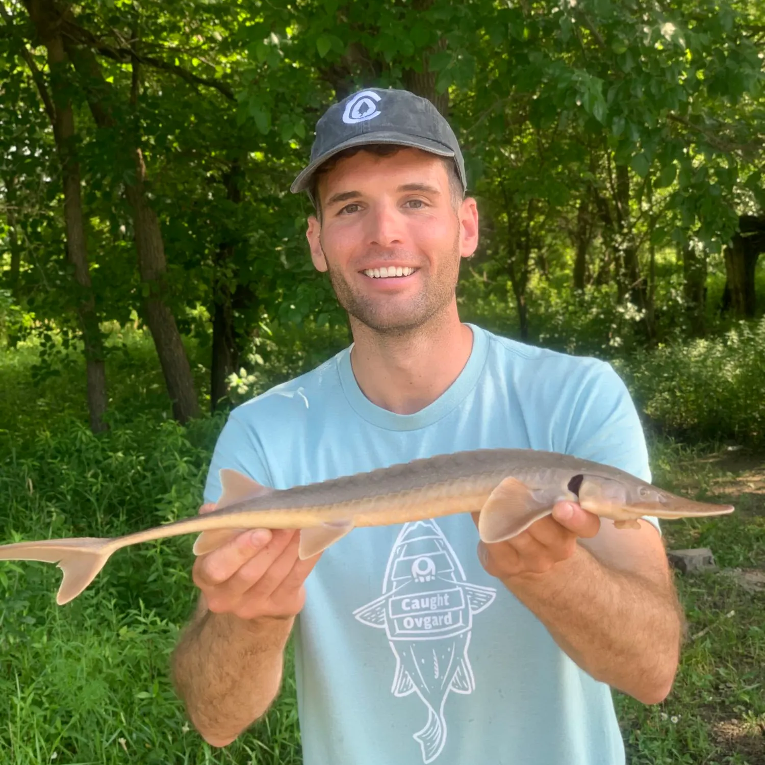 The most popular recent Shovelnose sturgeon catch on Fishbrain