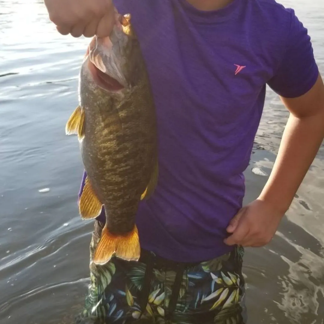 Smallmouth bass caught on Fishbrain