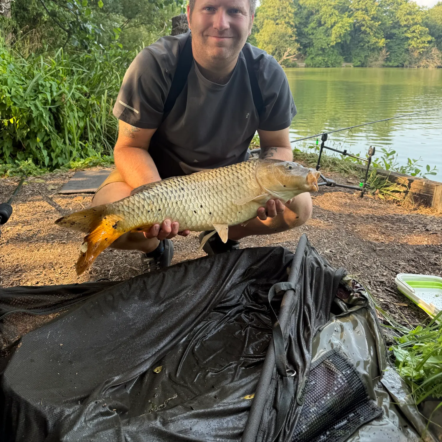Common carp caught on Fishbrain