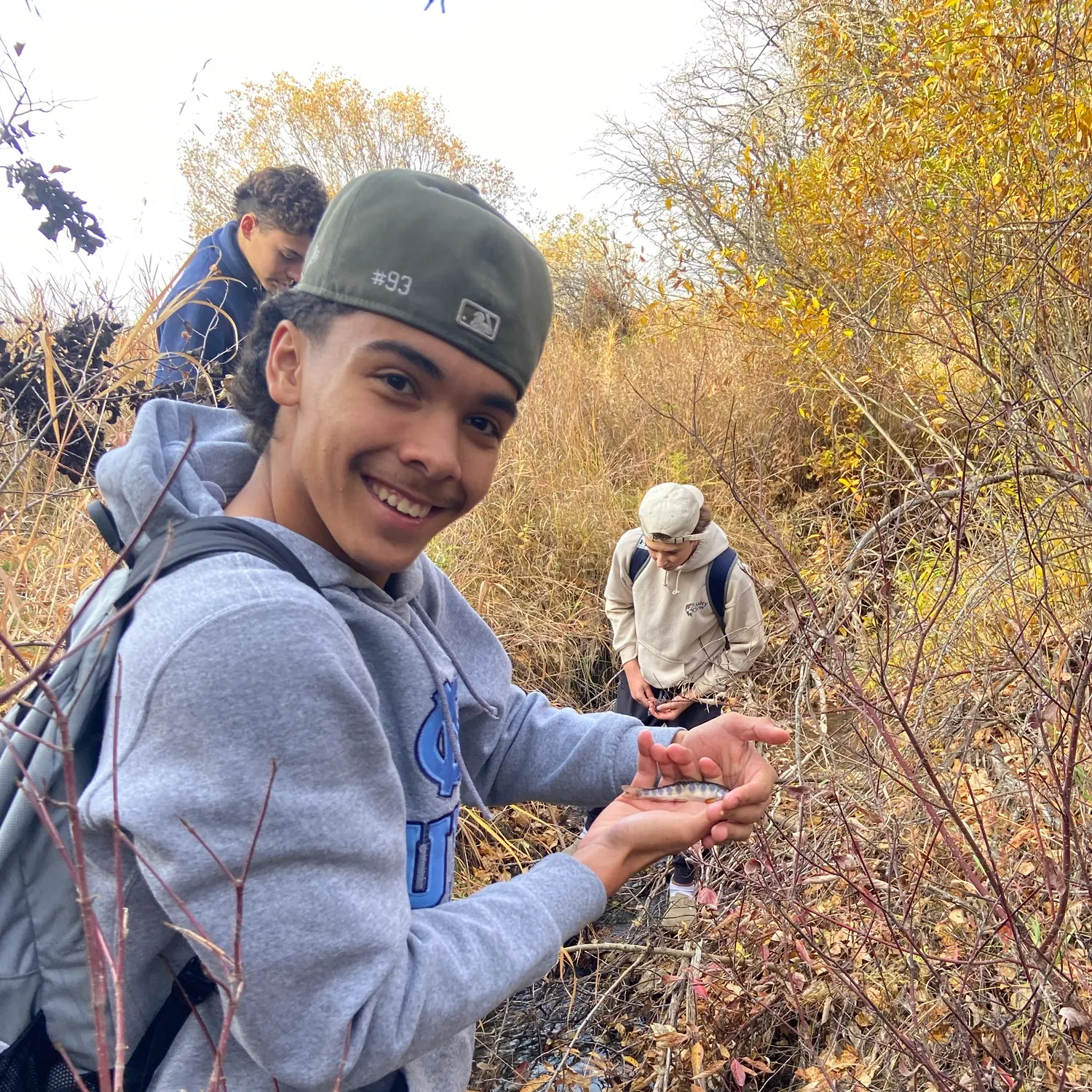 Brook trout caught on Fishbrain