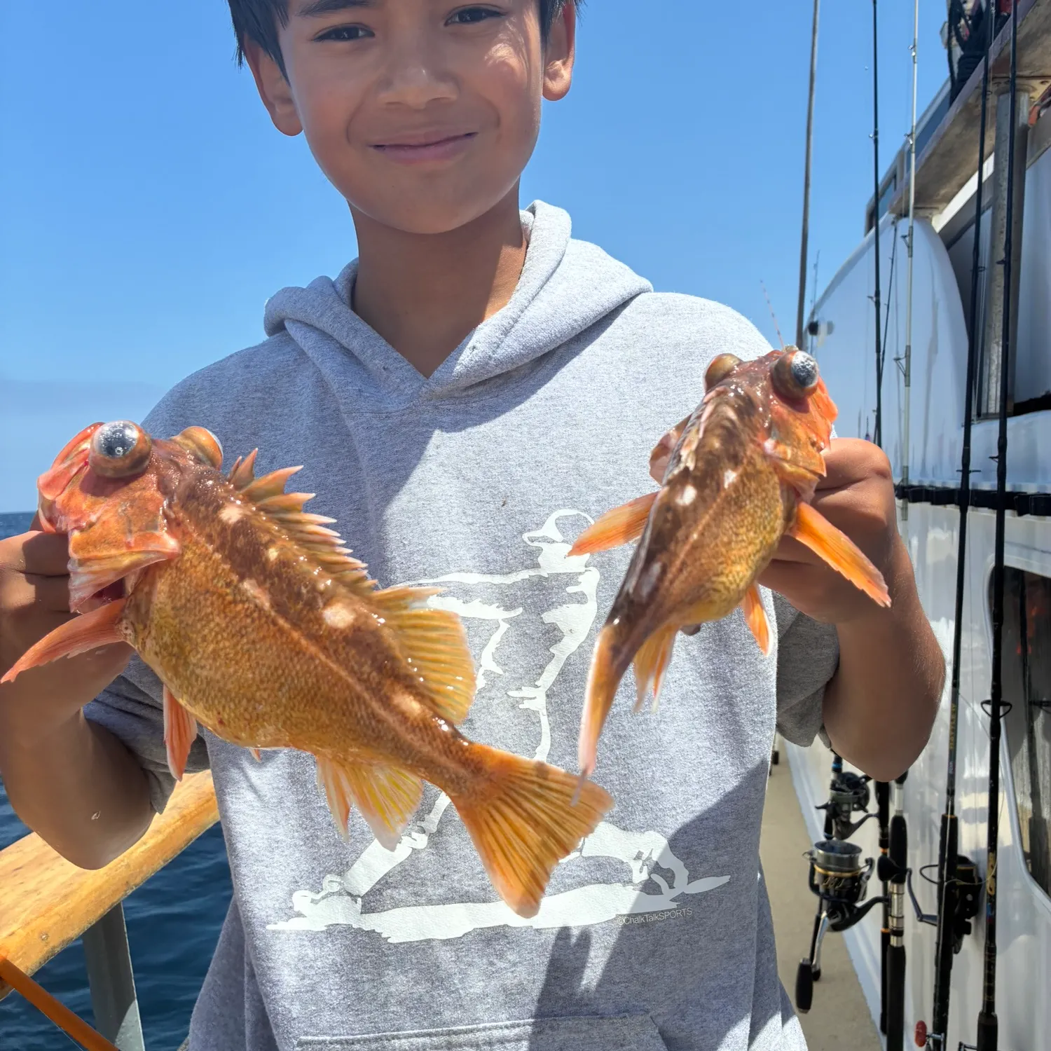 The most recent Starry rockfish catches on Fishbrain