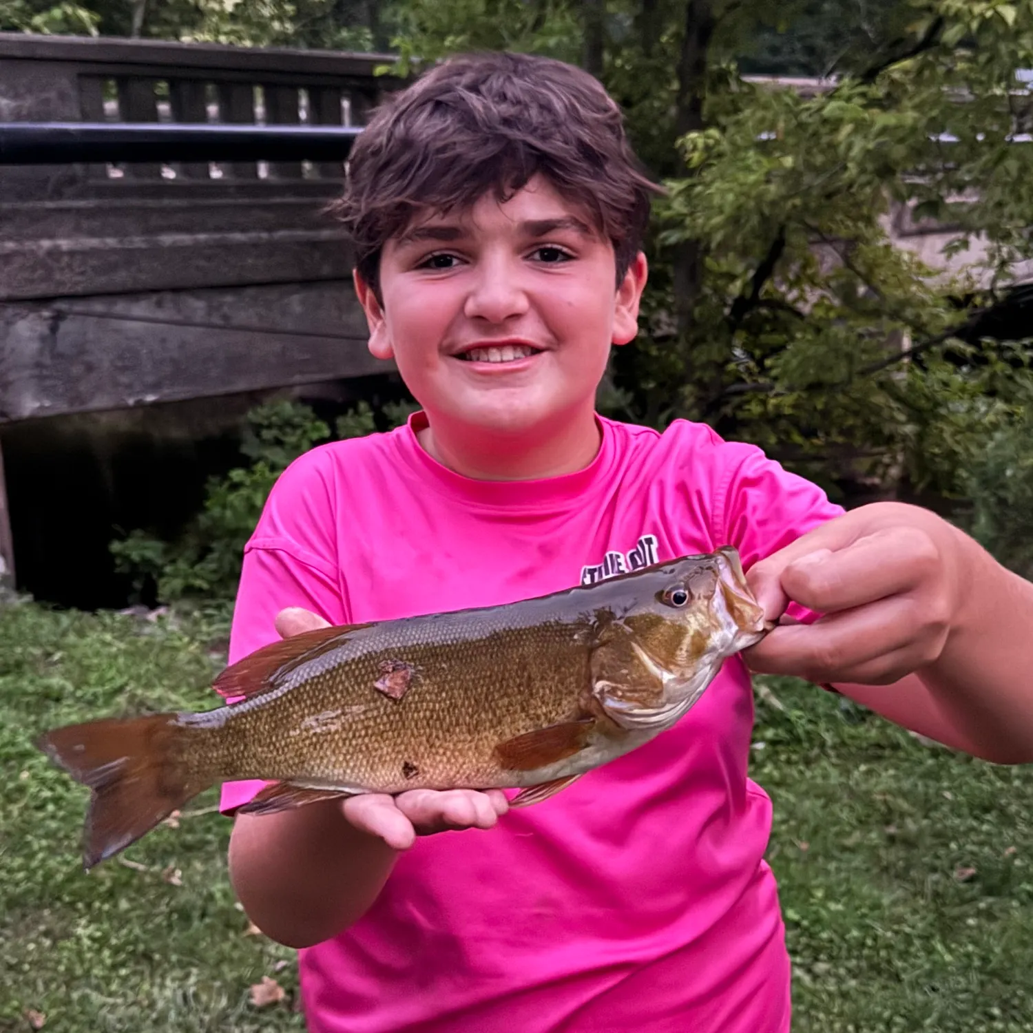 Smallmouth bass caught on Fishbrain