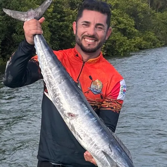 The most recent Wahoo catches on Fishbrain