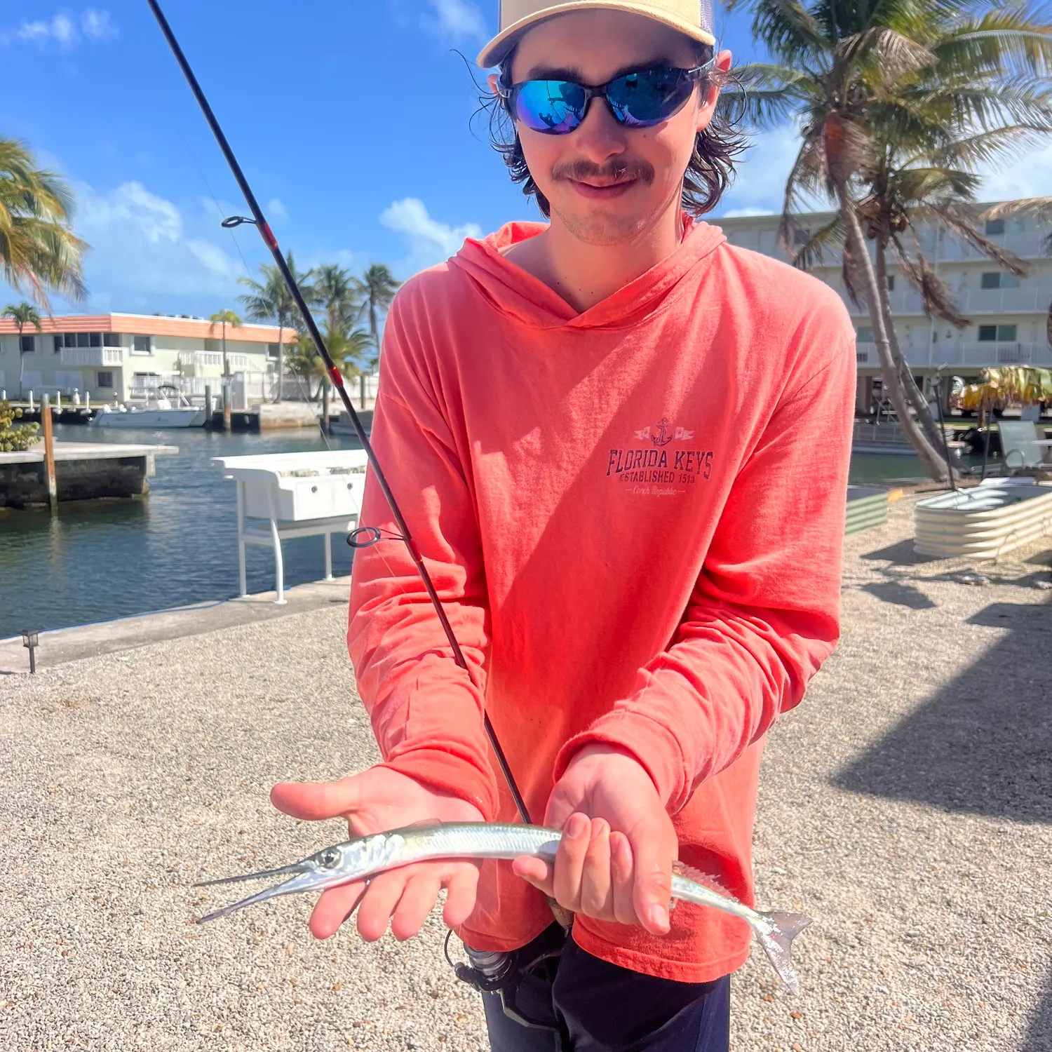 The most recent Atlantic needlefish catches on Fishbrain