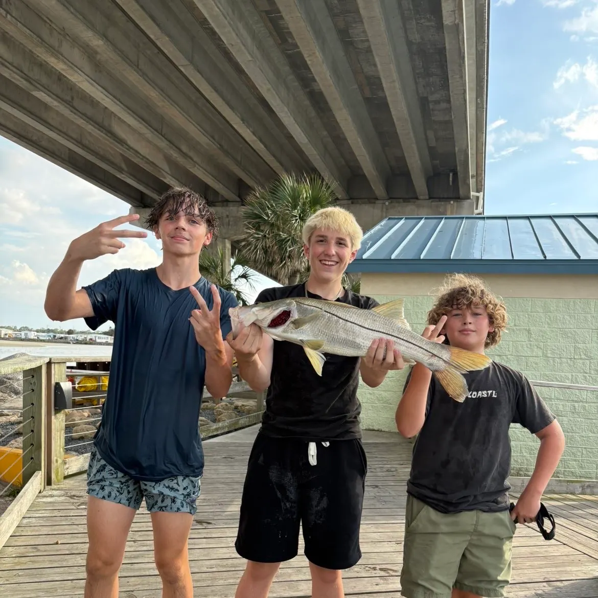 The most recent Common snook catches on Fishbrain