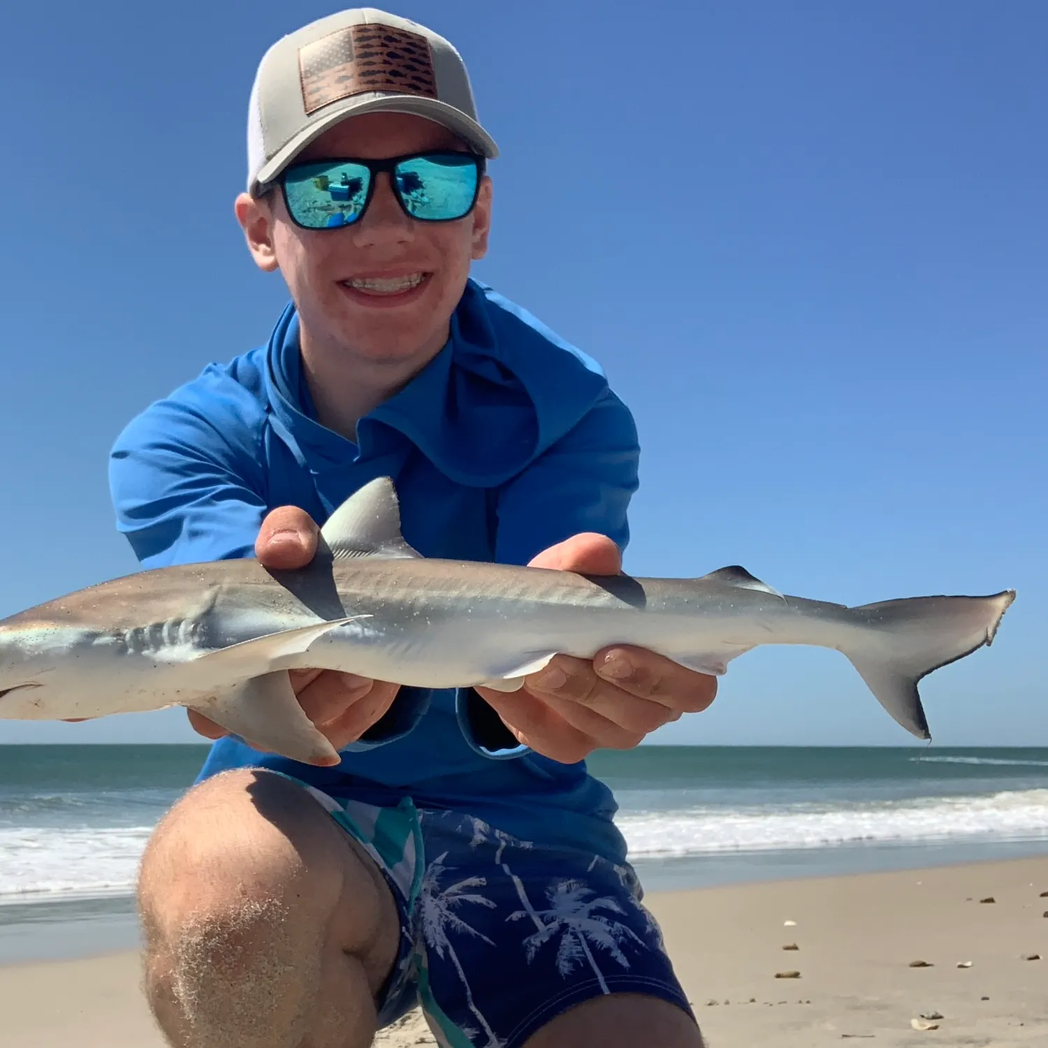 The most recent Sandbar shark catches on Fishbrain