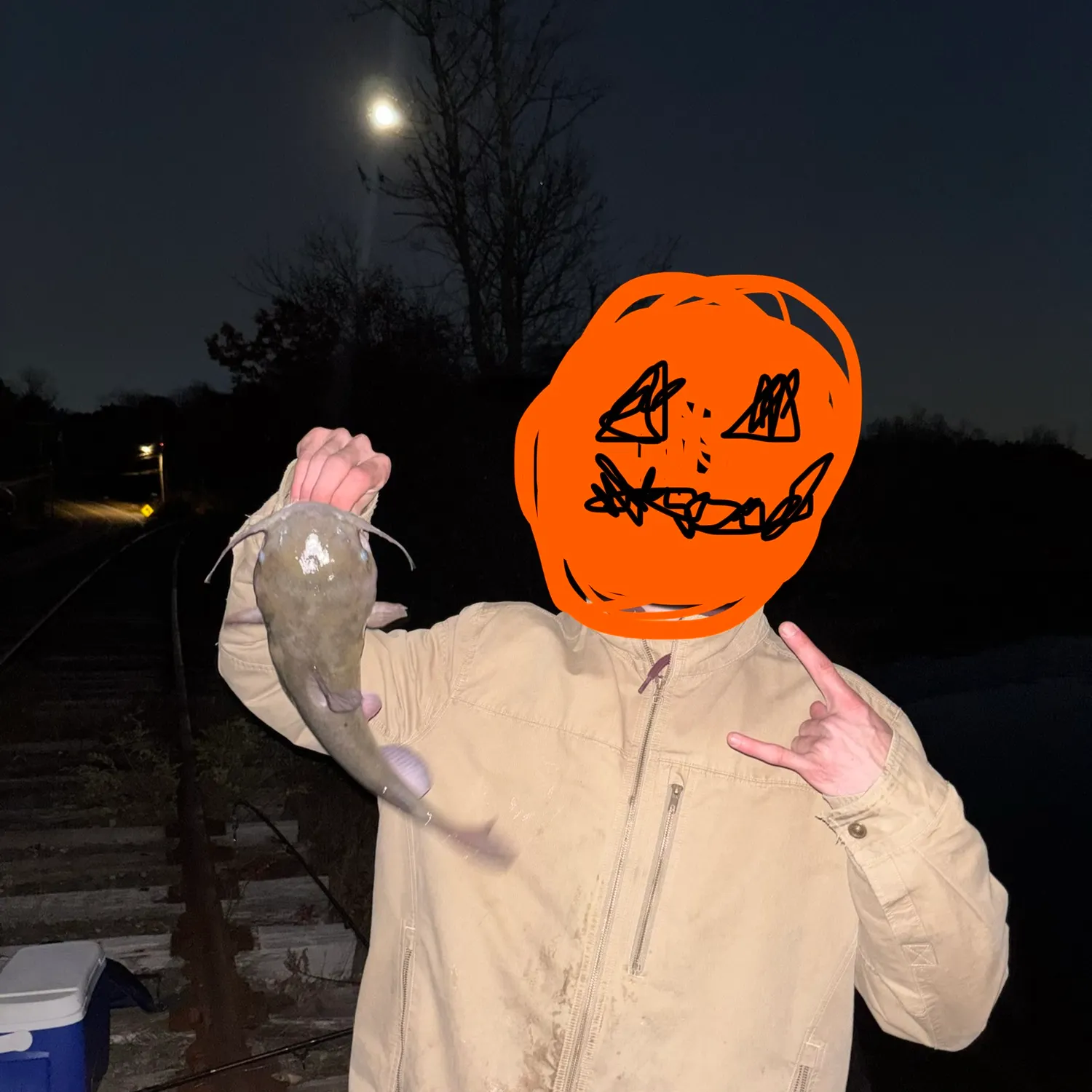 White bullhead caught on Fishbrain