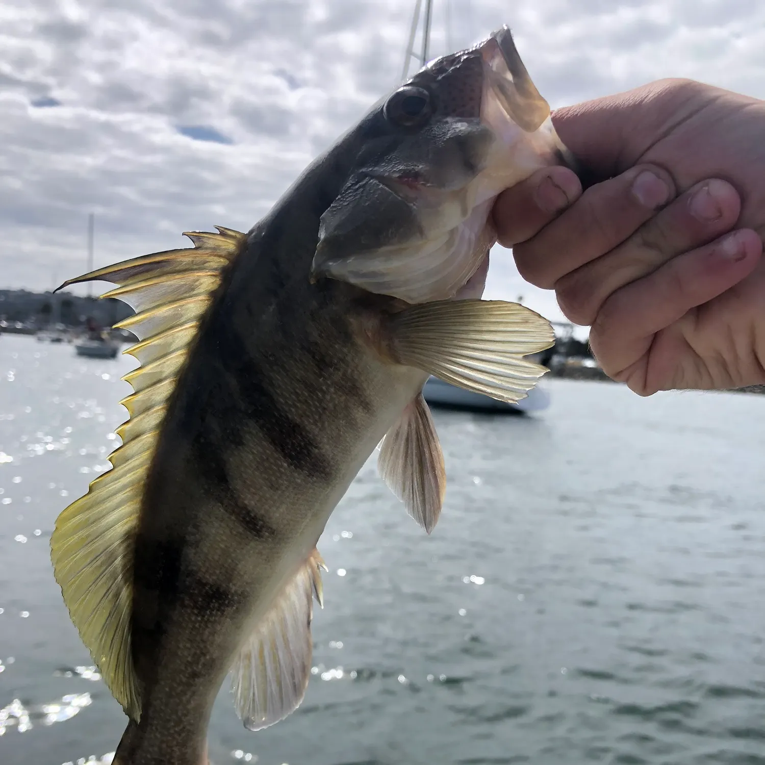 catch