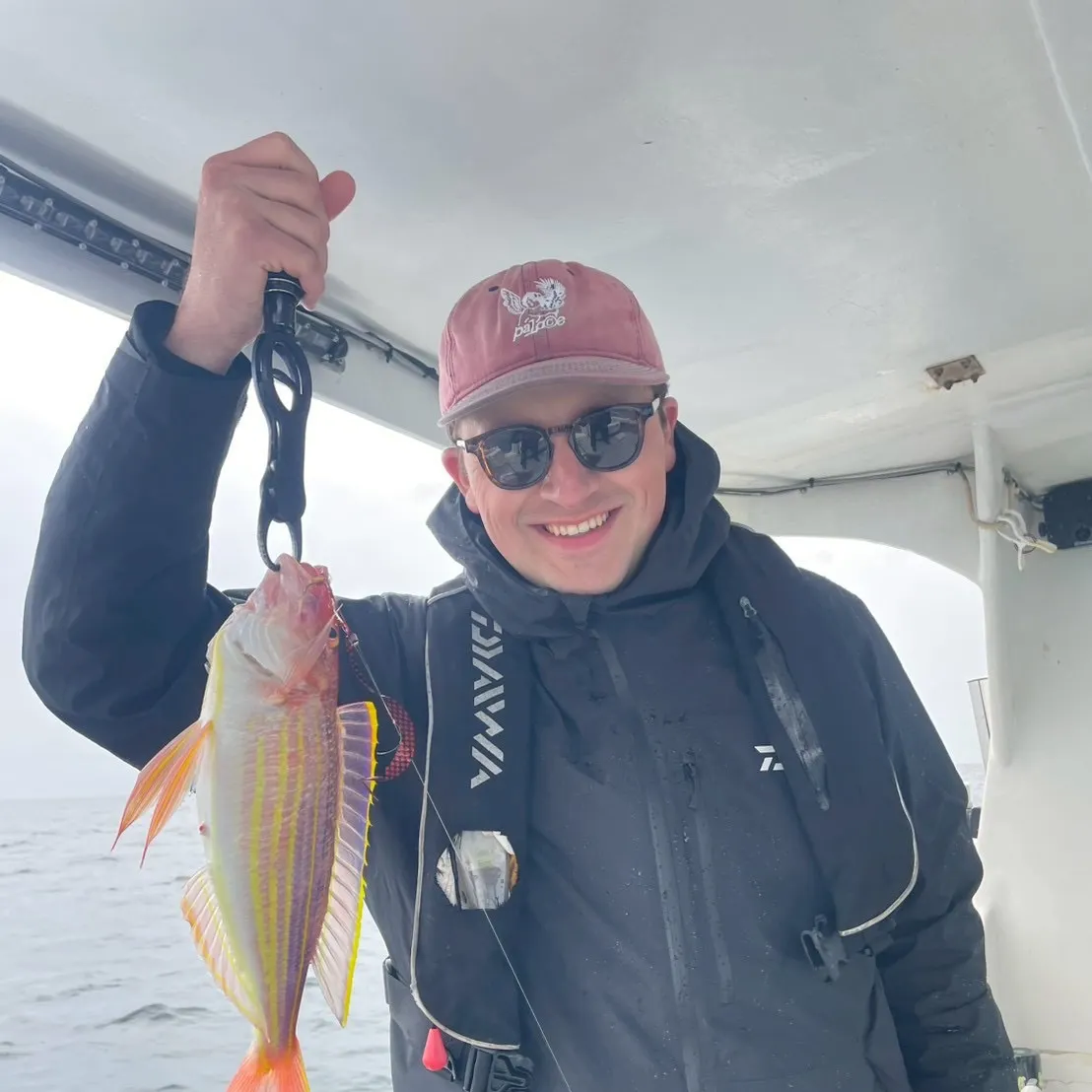 The most recent Japanese threadfin bream catches on Fishbrain