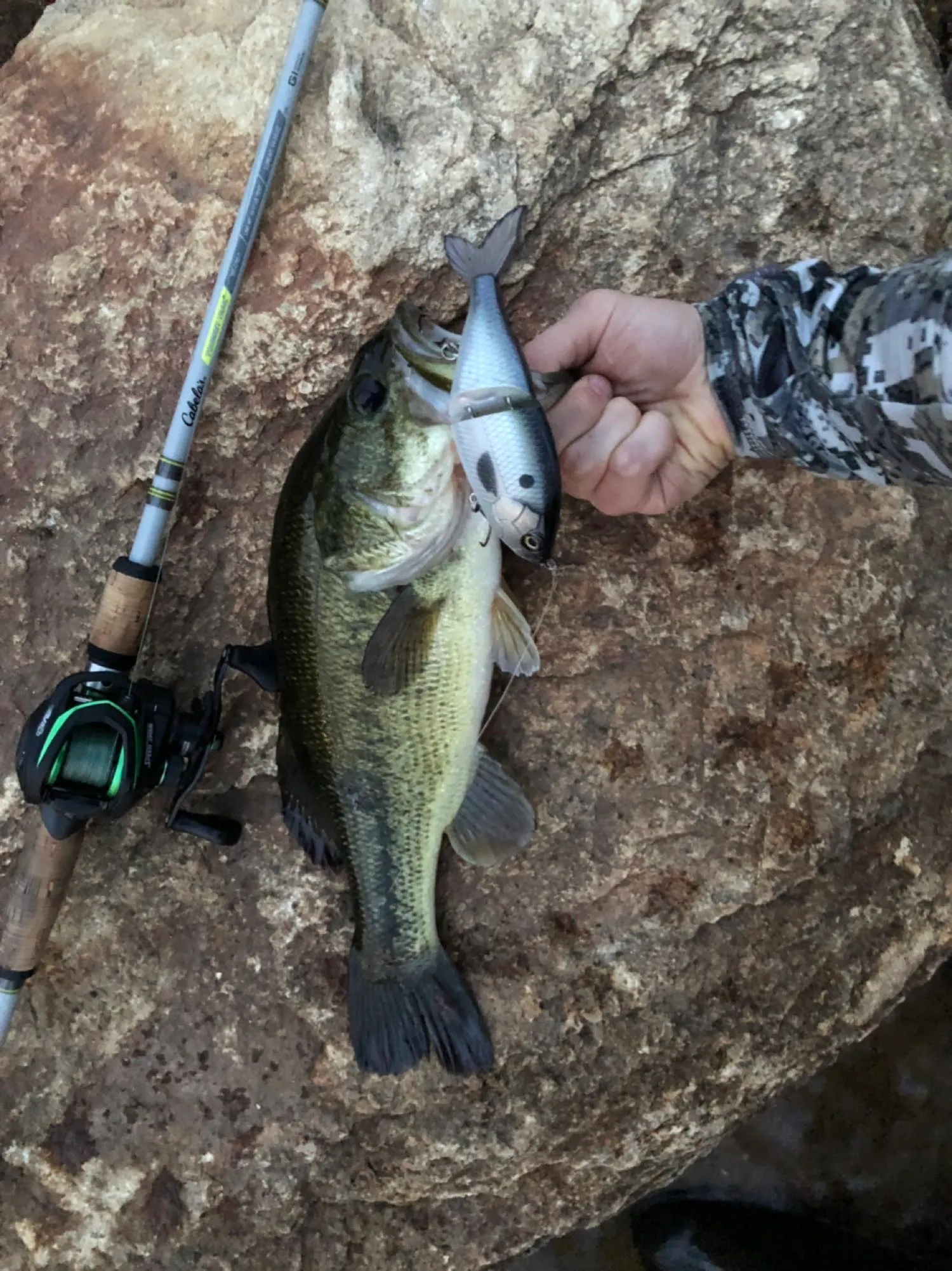 Post image from nateshippee