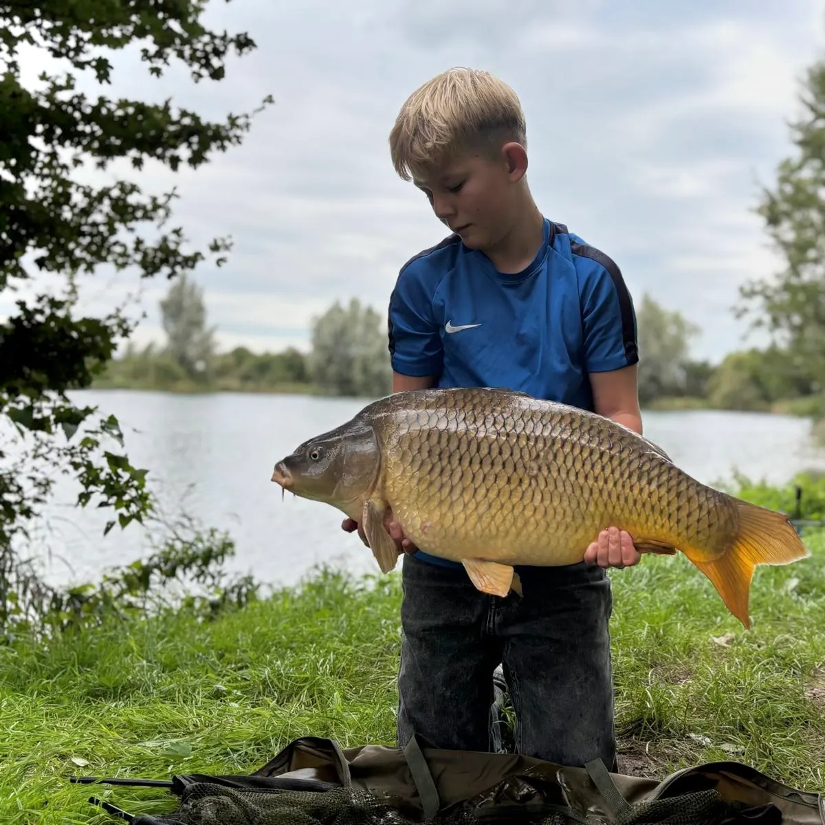 Common carp caught on Fishbrain