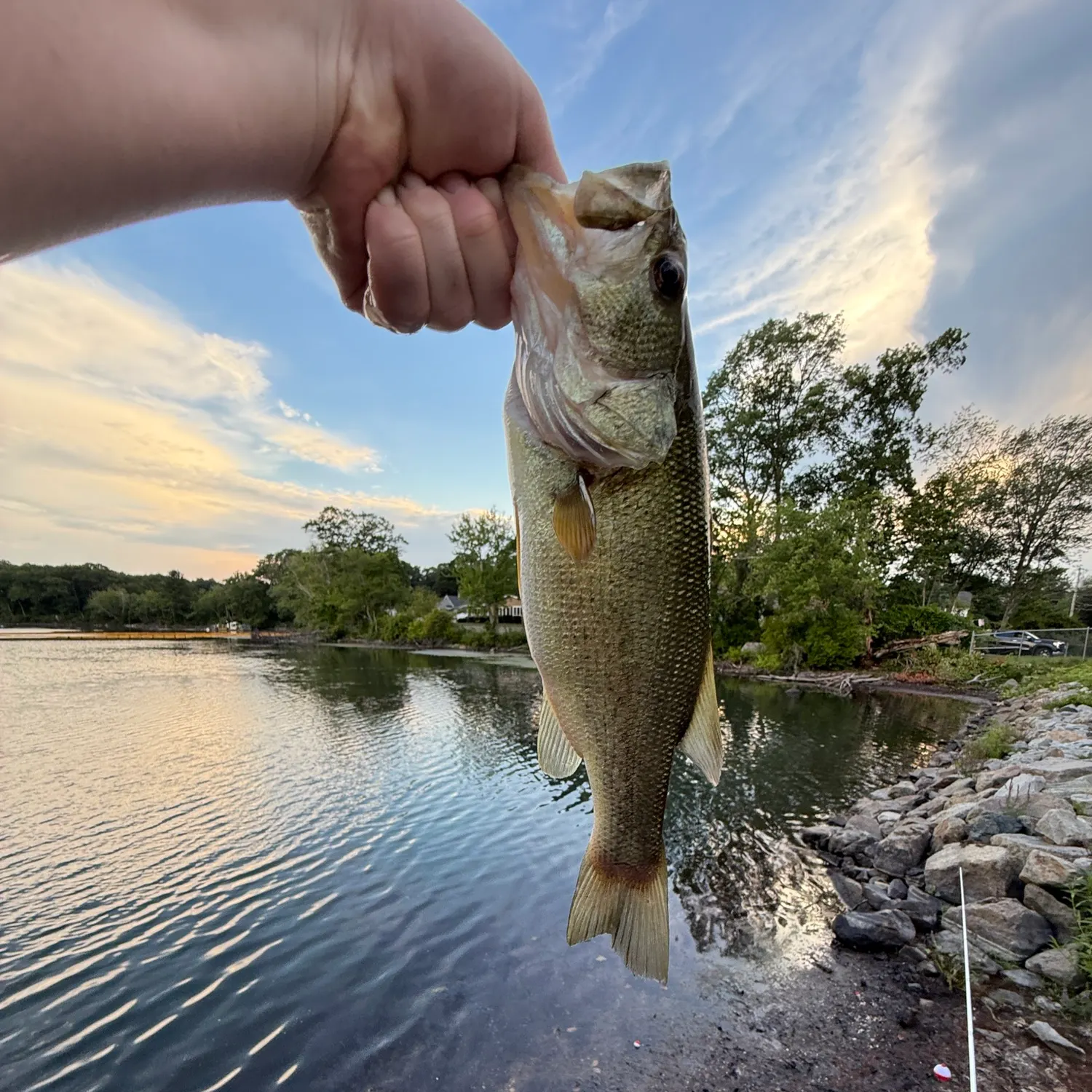 Fish caught on Fishbrain